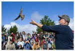 hawk-talk-and-band-demo
